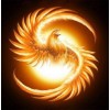 5d Hotsale Diamond Painting Kit Custom Kits  300