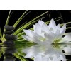5d Hotsale Diamond Painting Kit Custom Kits  304