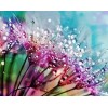 5d Hotsale Diamond Painting Kit Custom Kits  306
