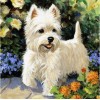 5d Hotsale Diamond Painting Kit Custom Kits  319