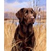 5d Hotsale Diamond Painting Kit Custom Kits  323
