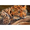 5d Hotsale Diamond Painting Kit Custom Kits  326