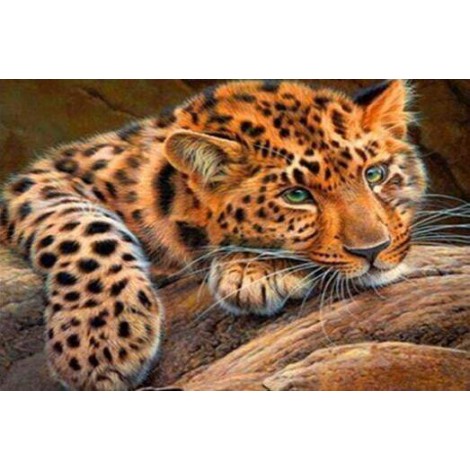 5d Hotsale Diamond Painting Kit Custom Kits  326
