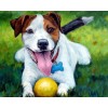 5d Hotsale Diamond Painting Kit Custom Kits  376
