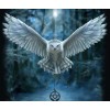 5d Hotsale Diamond Painting Kit Custom Kits  381