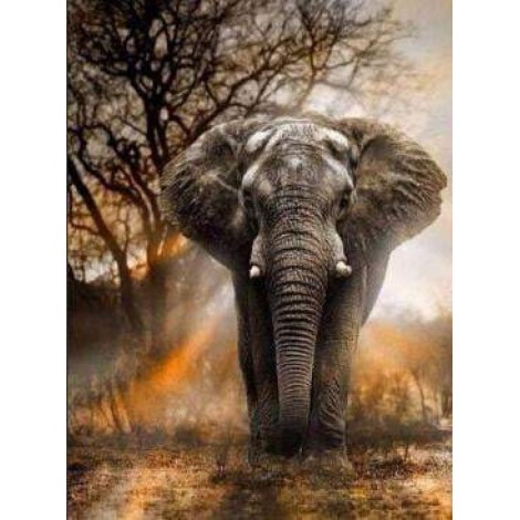 5d Hotsale Diamond Painting Kit Custom Kits  386