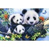 5d Hotsale Diamond Painting Kit Custom Kits  396