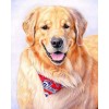 5d Hotsale Diamond Painting Kit Custom Kits  404