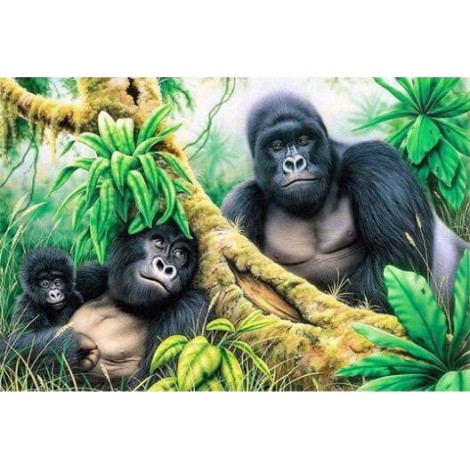5d Hotsale Diamond Painting Kit Custom Kits  405