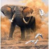 5d Hotsale Diamond Painting Kit Custom Kits  407