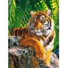 5d Hotsale Diamond Painting Kit Custom Kits  414