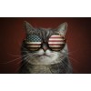 5d Cat Diamond Painting Kit Premium-46