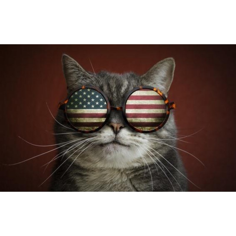 5d Cat Diamond Paint...