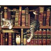 5d Cat Diamond Painting Kit Premium-51