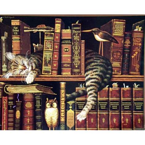 5d Cat Diamond Painting Kit Premium-51