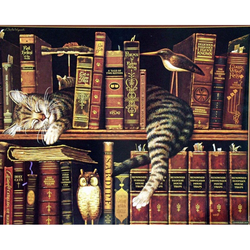 5d Cat Diamond Paint...
