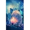 5d Cat Diamond Painting Kit Premium-55
