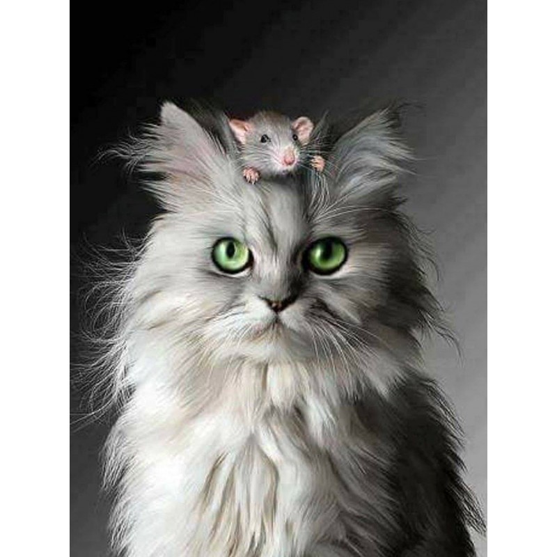 5d Cat Diamond Paint...