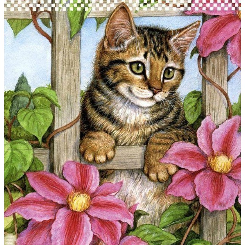 5d Cat Diamond Paint...