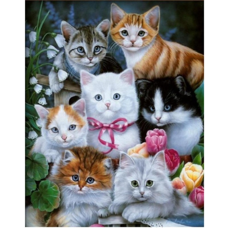 5d Cat Diamond Paint...