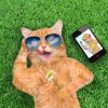 5d Cat Diamond Painting Kit Premium-74