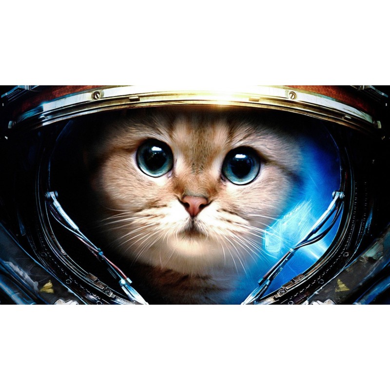 5d Cat Diamond Paint...