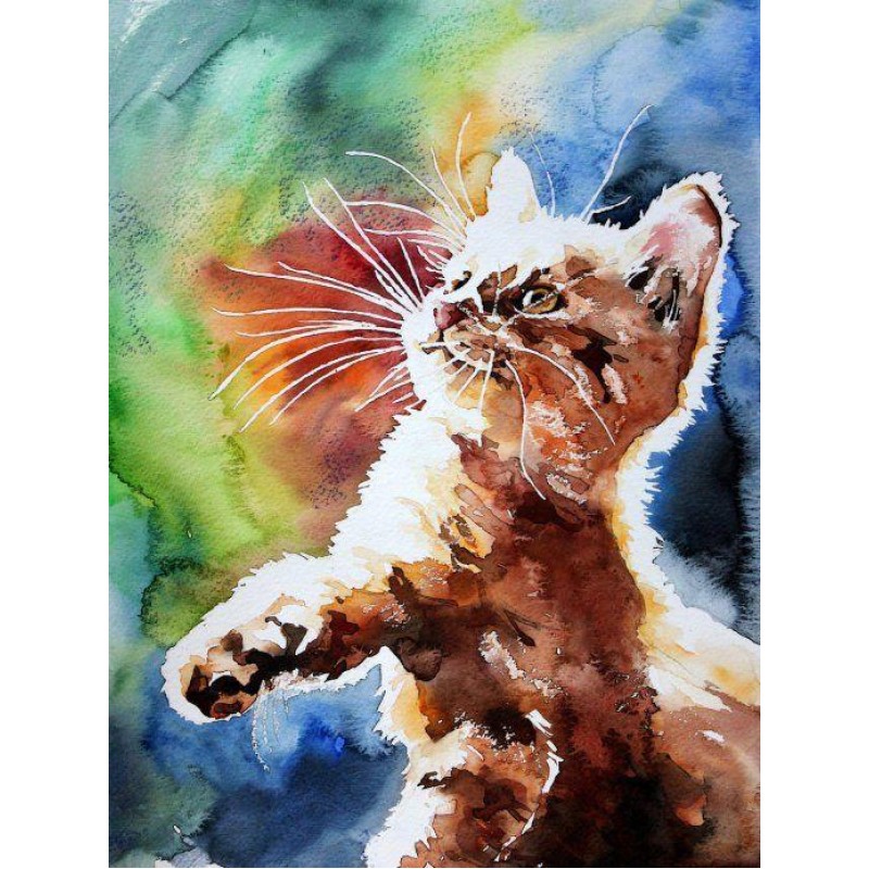 5d Cat Diamond Paint...