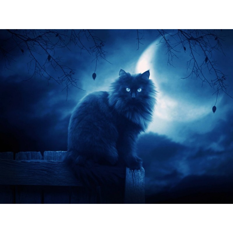 5d Cat Diamond Paint...