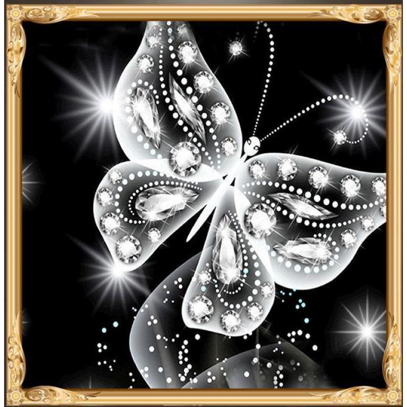 Butterfly Special Sh...