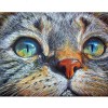 Cat face Diamond Painting Kit