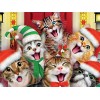 Christmas Cat Diamond Painting Kit