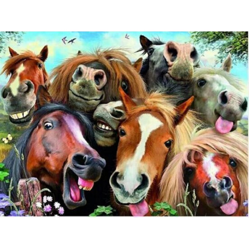 Horses Funny Diamond...