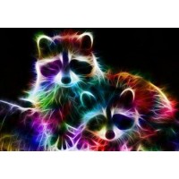 Raccoon Colors Diamond Pa...
